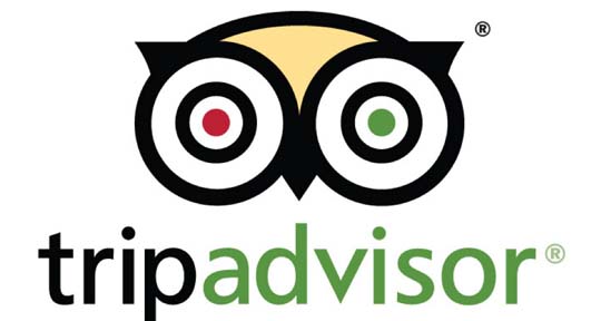Testimonials on tripadvisor